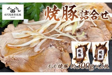 白河高原清流豚 焼豚詰合せ 300g×２ F21R-039