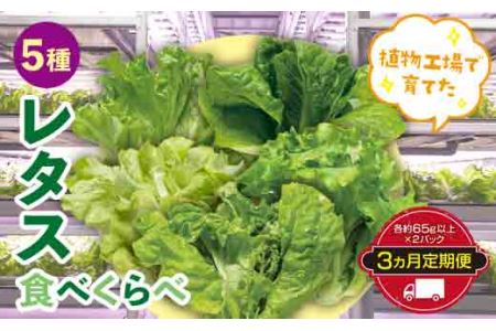 定期便 3ヶ月連続 植物工場で育てた5種のレタス食べくらべセット 10パック F23R-785