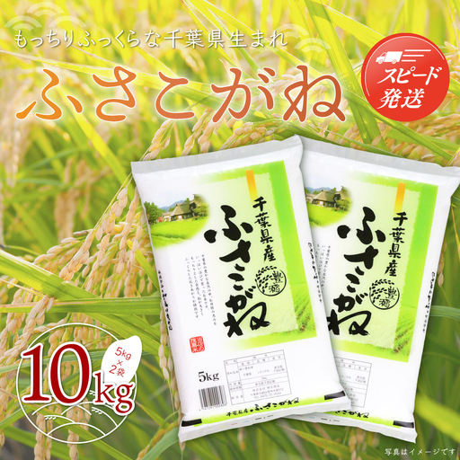 【最短2～7営業日出荷】令和7年産 千葉県産「ふさこがね」10kg（5kg×2袋） A004