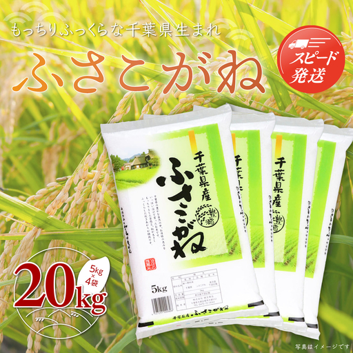 【最短2～7営業日出荷】令和7年産 千葉県産「ふさこがね」20kg（5kg×4袋） A005