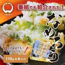 ＜なめろう＞あじのたたき 九十九里の浜のおばちゃん料理！ 170g×4個パック 