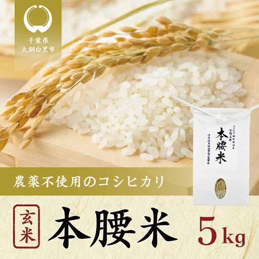 令和8年産 本腰米5kg 玄米 千葉県産コシヒカリ 農薬不使用 【 ふるさと納税 お米 5kg 千葉県産 大網白里市 コシヒカリ 農薬不使用 米 玄米 こめ 送料無料 】F005