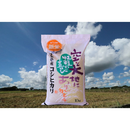 【新米先行受付 令和8年産】千葉県産コシヒカリ(精米) 10kg[10kg×1袋]G001
