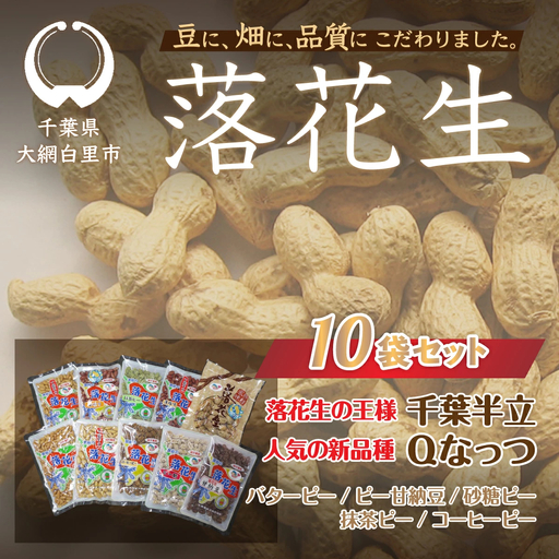 千葉県 大網白里市産 落花生10袋セット
