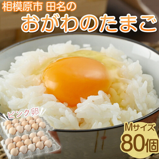 相模原市田名のおがわのたまご ピンク卵(Mサイズ)75個+割れ補償5個入り(計80個) 国産 濃厚 コク 旨味 鶏卵|たまご