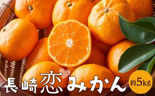 長崎恋みかん 5kg[期間限定/先行予約][2026年11月中旬以降順次発送]|みかん