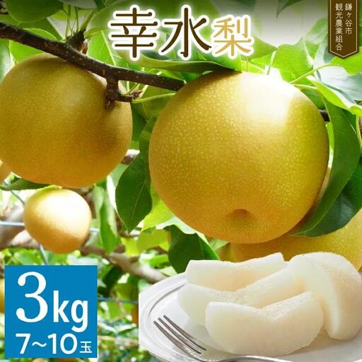 ※先行予約※[幸水3kg]かまがや育ちの完熟梨(観光組合)