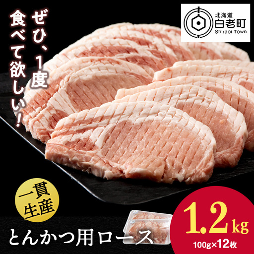 北海道産 白老豚 ロース とんかつ用 100g×12枚