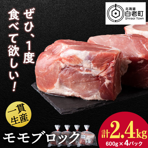 北海道産 白老豚 モモ ブロック 600g×4パック