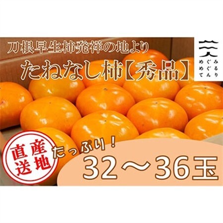 [R8年10月以降発送]刀根早生柿発祥の地より「たねなし柿」L〜2L(32〜36玉)[秀品]_果物・フルーツ 柿(カキ) かき_[配送不可地域:離島]