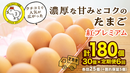 【 定期便 】【 全6回 コース 】紅プレミアム 卵 30個 （ 25個 入り ＋ 割れ保障 5個 ）
