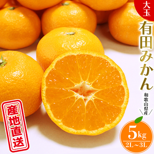 【大玉】有田 みかん 5kg(2L-3L)※11月下旬～翌年1月中旬頃順次発送予定【hdm001-1A】