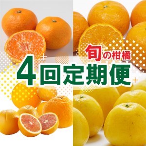定期便 4回 4ヶ月 愛媛 みかん ポンカン 不知火 しらぬい ネーブルオレンジ なつみ ブラッドオレンジ 河内晩柑 愛南 ゴールド 柑橘 かんきつ フルーツ 果物 くだもの 数量 季節 限定 旬 セット 詰め合わせ 国産