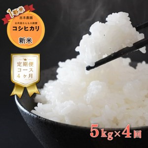 定期便 4回 令和 5年 新米 5kg 吉本農園 米 お米 おこめ 白米 国産 コシヒカリ 米 ブランド 炊きたて 冷めても 美味しい コシヒカリ 米 旨味 甘み 愛媛県 愛南町 産 産地 直送 産直 コシヒカリ 米