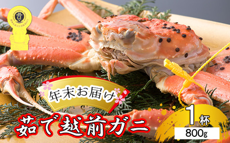 茹で越前ガニ[年末お届け]食通もうなる本場の味をぜひ、ご堪能ください。約800g以上×1杯 越前がに 越前かに 越前カニ ずわいがに かに カニ ボイルガニ 蟹