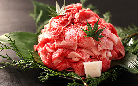 丹波篠山肉の東門 お助け便利スライス切り落とし 小分けちゃん300g×4パック AB31 産直 精肉店直送 高級 ハレの日 贅沢 グルメ 美味しい 冷凍配送 冷凍食品