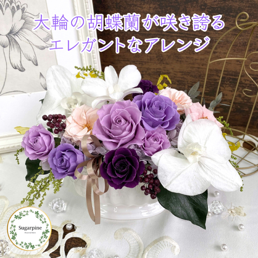シュガーパイン プリザーブドフラワーアレンジ（ルクール/パープル）【埼玉県 春日部市 洋蘭 贈答用 室内装飾 開店祝い フラワーギフト】(AJ072-1)