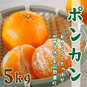 ポンカン 5kg フルーツ 果物 くだもの 柑橘 敬老の日 ジュース ビタミン お菓子 スイーツ ケーキ マーマレード ゼリー 予約 数量 限定 国産 愛媛 愛南