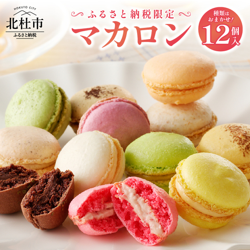 種類はおまかせ！ふるさと納税限定マカロン(12個入)  [h194]