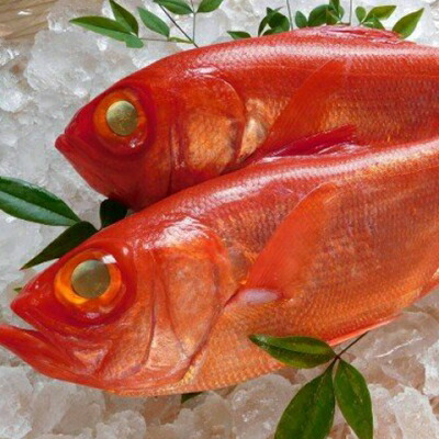 高級金目鯛２尾（鮮魚）