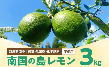 ■【 先行受付 】 栽培期間中 農薬 ・ 除草剤 ・ 化学肥料不使用 ！ 南国 の 島レモン 3kg ！【2026年9月～2027年2月下旬お届け】 W043-004u 果物
