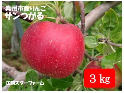 [スターファーム] こだわり栽培の サンつがる 厳選品 約3kg 岩手県奥州市産りんご 産地直送 冷蔵 [AY005]
