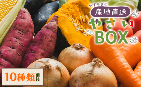 野菜セット 野菜 野菜詰め合わせ 10種類前後 [先行予約]ベジタブル ヘルシー 詰め合わせ セット 季節 旬 おまかせ 10種類前後 国産 特産品 高知県 冷蔵 やすらぎ市 産地直送やさいBOX yr-0011