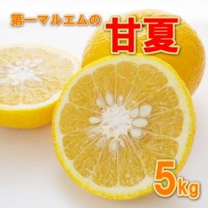 [先行予約] 甘夏 5kg 減農薬 柑橘 フルーツ 愛媛みかん ポンカン 文旦 河内晩柑 温州みかん ブラッド オレンジ ネーブル せとか なつみ 蜜柑 みかん 檸檬 果物 果実 ジューシー 数量限定 さっぱり 甘い 第一マルエム 愛媛県 愛南町