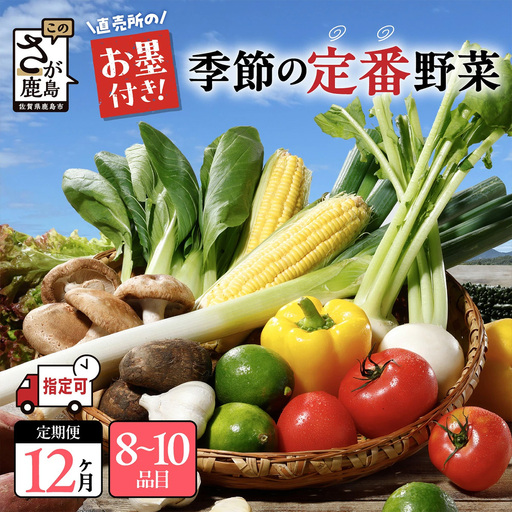【12ヶ月 定期便】【野菜ソムリエ選定】 肥前の国のお野菜定期便 新鮮 採れたて 野菜 直売所 野菜 8～10品目 野菜定期便 J-14