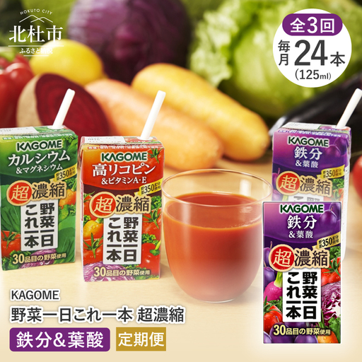 [3ヵ月定期便]カゴメ 野菜一日これ一本 超濃縮 鉄分&葉酸 125ml 紙パック 24本入 (野菜ジュース) [h172]