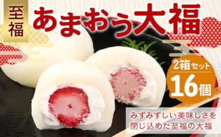 至福 あまおう大福 16個(50g×8個入り)2セット 和菓子 菓子 スイーツ