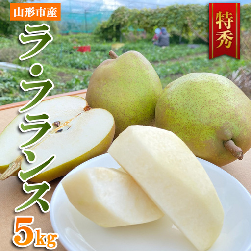 山形市産 ラ・フランス 特秀 5kg FY23-693