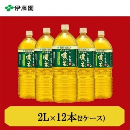おーいお茶濃い茶2L　12本(2ケース)　伊藤園【1143943】
