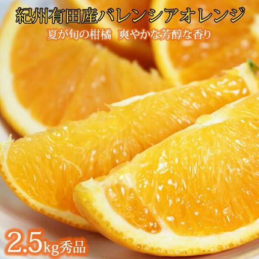 秀品 希少な国産バレンシアオレンジ 2.5kg[2027年6月下旬頃〜2027年7月上旬頃に順次発送][UT75]
