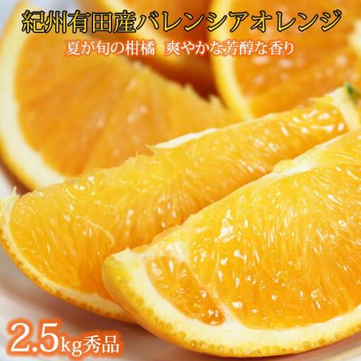 秀品 希少な国産バレンシアオレンジ 2.5kg[2027年6月下旬頃〜2027年7月上旬頃に順次発送][UT75]