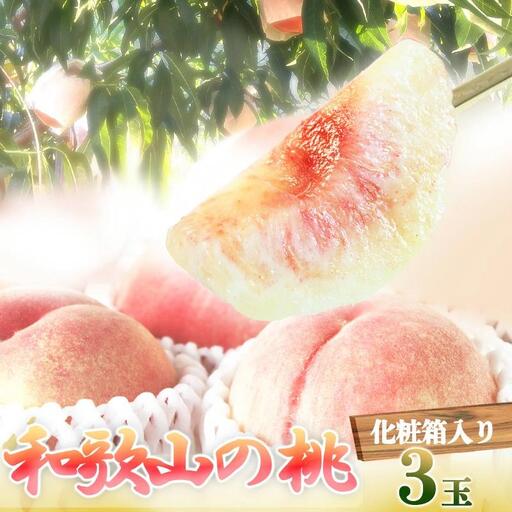 秀品 紀州和歌山産の桃 3玉 化粧箱入[2027年6月下旬より順次発送][UT105]