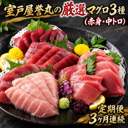 【定期便/計3回】天然マグロ（赤身・中トロ）【まぐろ】mh019