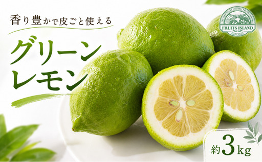 レモン 約 3kg 24個 柑橘 檸檬 牡蠣 フライ レモンティー 愛媛 愛南 マルエム直販