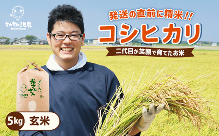 先行予約 令和8年産・新米 コシヒカリ 5kg 玄米 福井県産コシヒカリ [A-0267_04]
