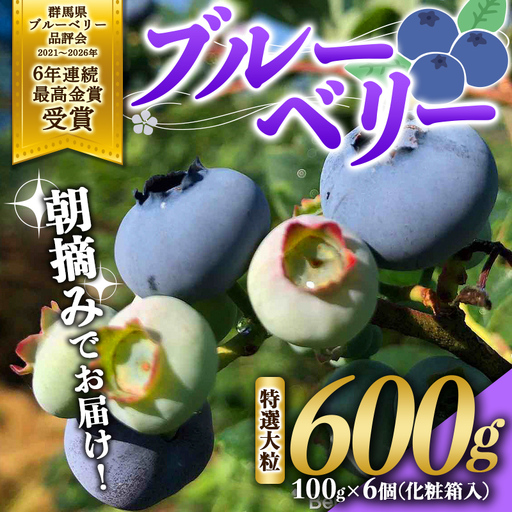 ブルーベリー特選大粒600g 朝摘みでお届け！【6年連続最高金賞受賞 群馬県ブルーベリー品評会2021~2026年】化学農薬不使用 除草剤不使用 フルーツ 果物 F4H-0683