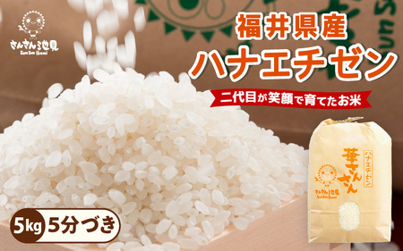 先行予約【令和8年産・新米】 ハナエチゼン 5kg～坂井市三国町産・こだわりの精米対応～ （5分づき） [A-0270_03]