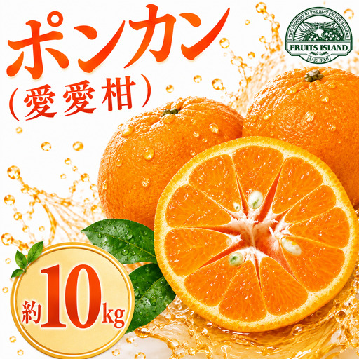 先行予約 ポンカン 約10kg 愛愛柑 15000円 柑橘 ぽんかん 愛媛 愛南 マルエム直販