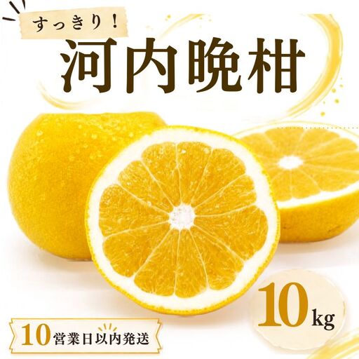 【10営業日以内発送】河内晩柑 ばんかん 約 10kg 家庭 柑橘 かんきつ フルーツ 果物 くだもの すぐ届く 早い 甘い さっぱり 厳選 愛媛 みかん 蜜柑 愛南 ご当地 ブランド 野菜 サラダ ピール ゼリー お菓子 デザート マルエム直販 愛媛県 愛南町
