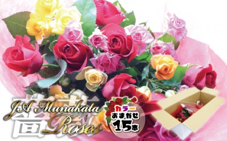 大切な人へのギフト、贈り物に!バラの花束ミックス15本[F2282]
