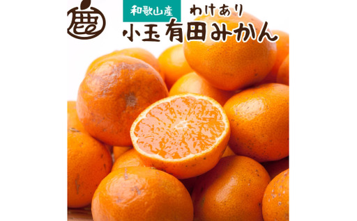 家庭用 小さな 有田 みかん (S以下) 2.5kg+250g ※11月発送 / 温州みかん 有田みかん 訳あり 甘い 光センサー選果 果物 柑橘 和歌山 ※北海道・沖縄・離島への配送不可  【ikd004-cs-2d5-novC】