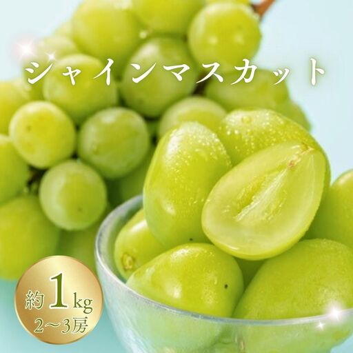 【2026年先行予約】シャインマスカット 約1kg（2~3房）※最低900g以上 |シャインマスカット