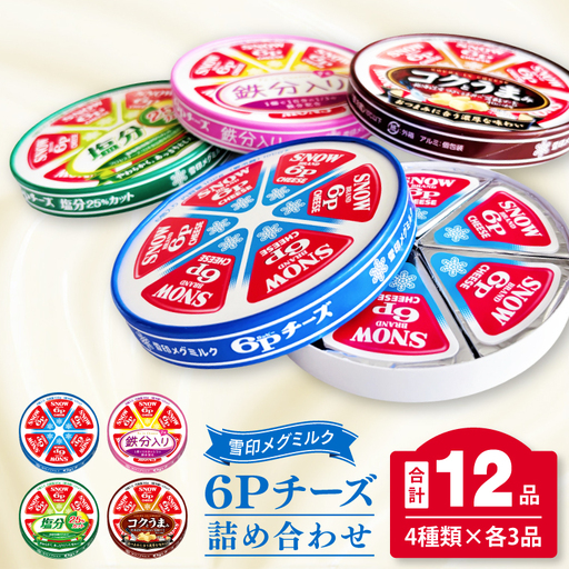 工場直送 雪印 メグミルク 6P チーズ 詰め合わせ セット 12品 人気 カルシウム 鉄分 塩分カット 食べ比べ  乳製品 加工品 冷蔵 送料無料(02-05)