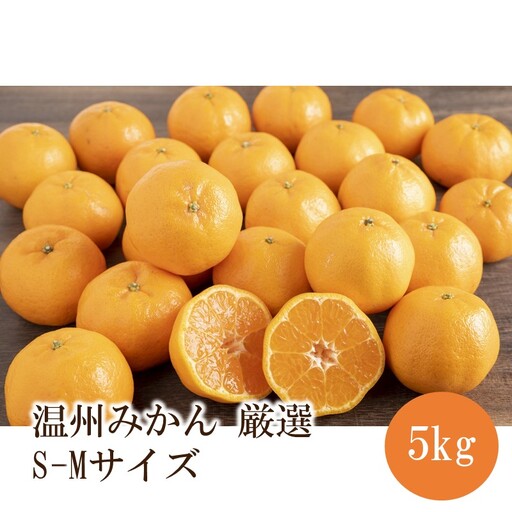 温州みかん厳選(S-Mサイズ)　5kg【1003-3】