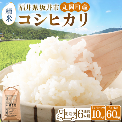 【令和8年産・新米】【6ヶ月定期便】 コシヒカリ10kg×6回　合計60kg（精米） [K-11304_03]