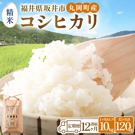 [令和8年産・新米][12ヶ月定期便] コシヒカリ10kg×12回 合計120kg(精米) [O-11304_03]